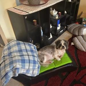 Meet your Posher, Tammy